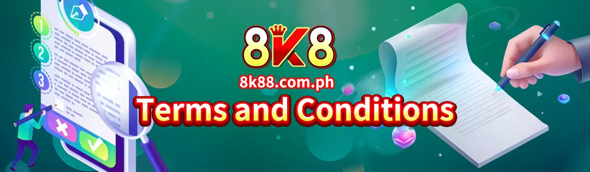 Terms and Conditions